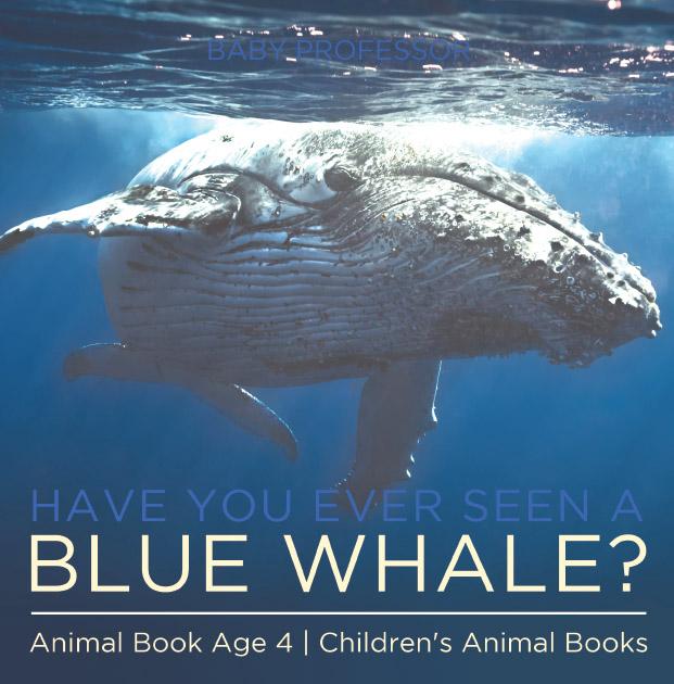 Have You Ever Seen A Blue Whale? Animal Book Age 4 | Children‘s Animal Books