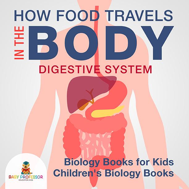 How Food Travels In The Body - Digestive System - Biology Books for Kids | Children‘s Biology Books