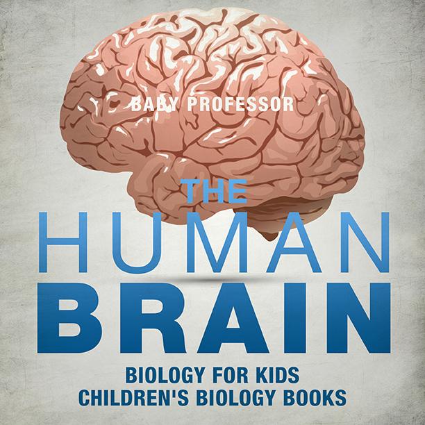 The Human Brain - Biology for Kids | Children‘s Biology Books