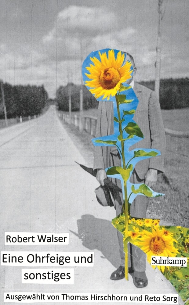 Eine Ohrfeige und sonstiges - Robert Walser