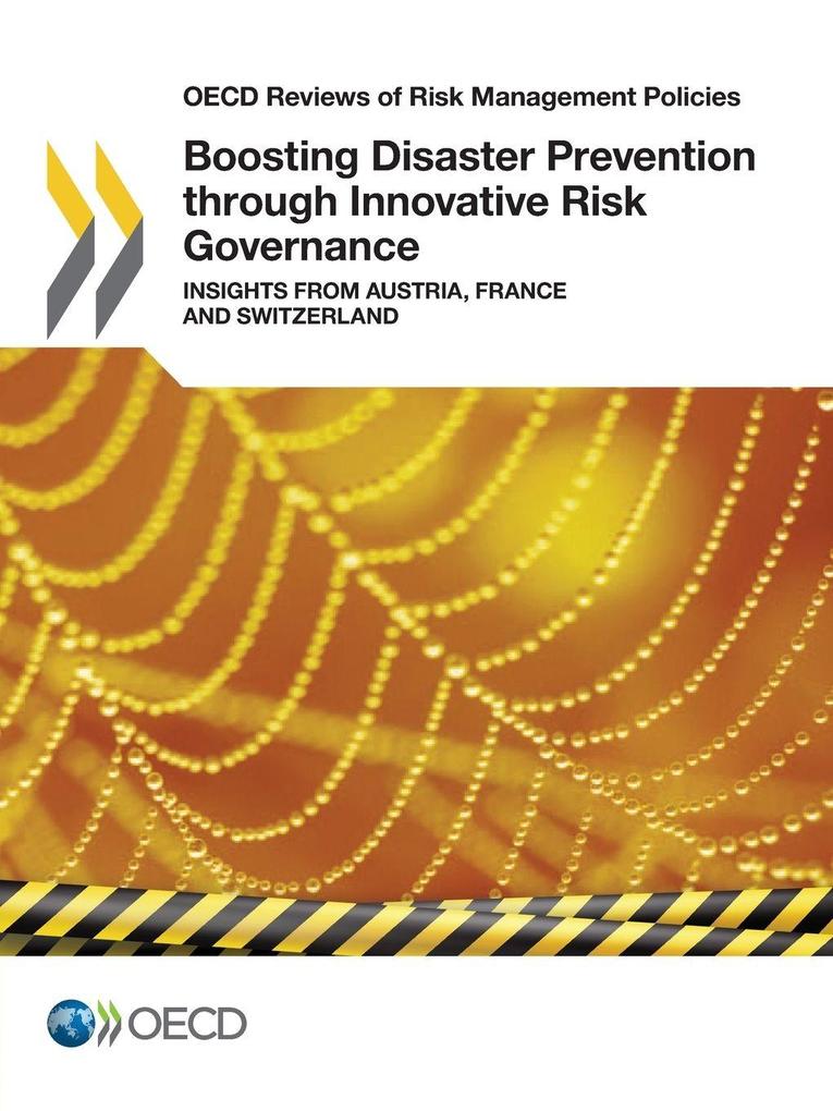 Boosting Disaster Prevention through Innovative Risk Governance