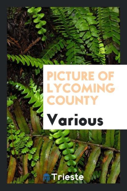Picture of Lycoming County