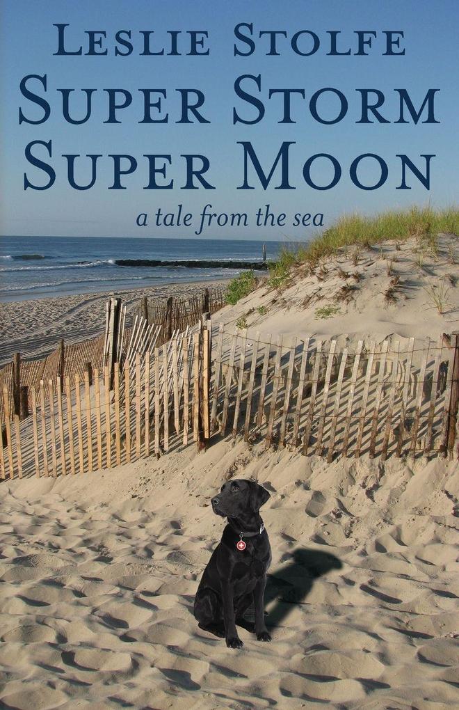 Super Storm Super Moon
