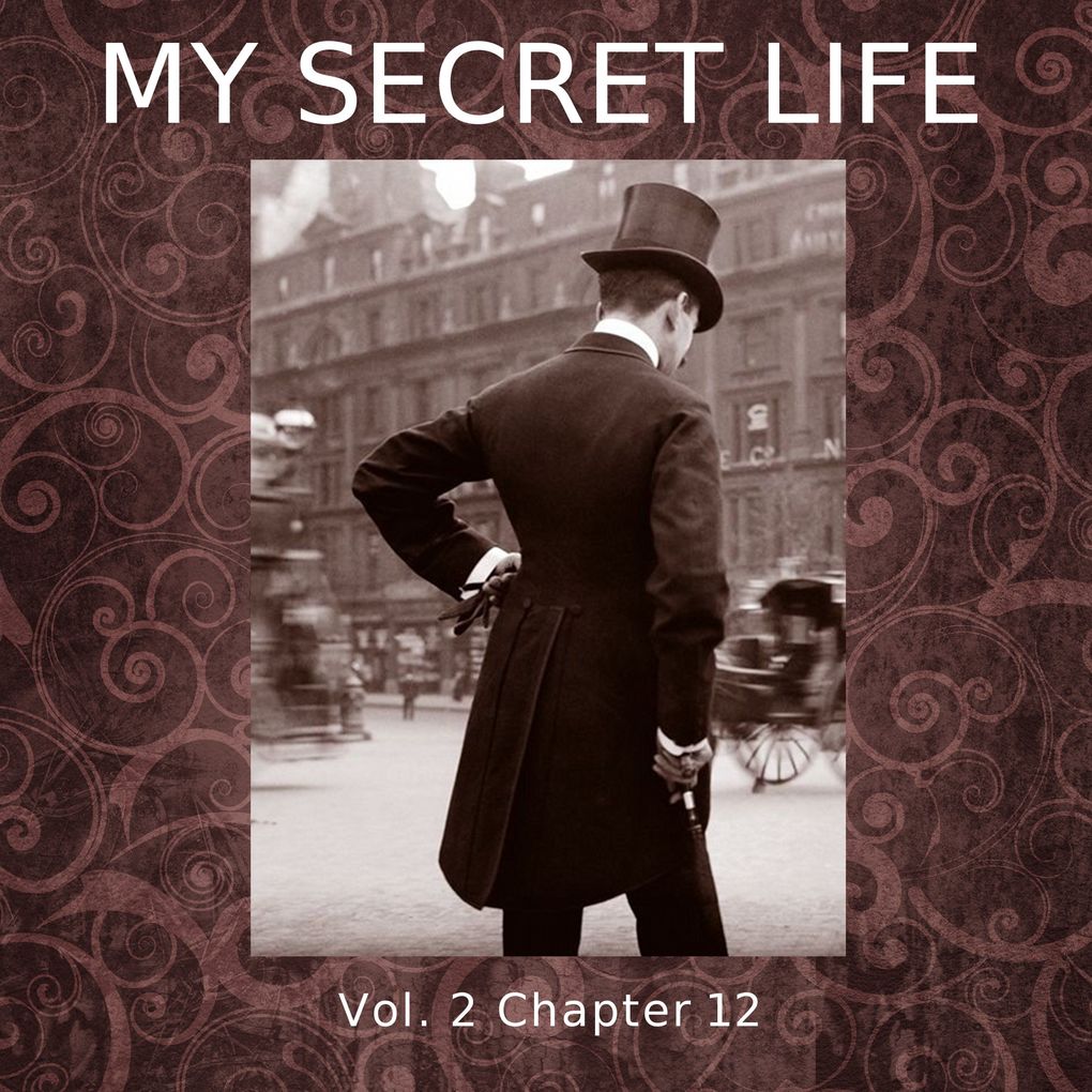 My Secret Life Vol. 2 Chapter 12