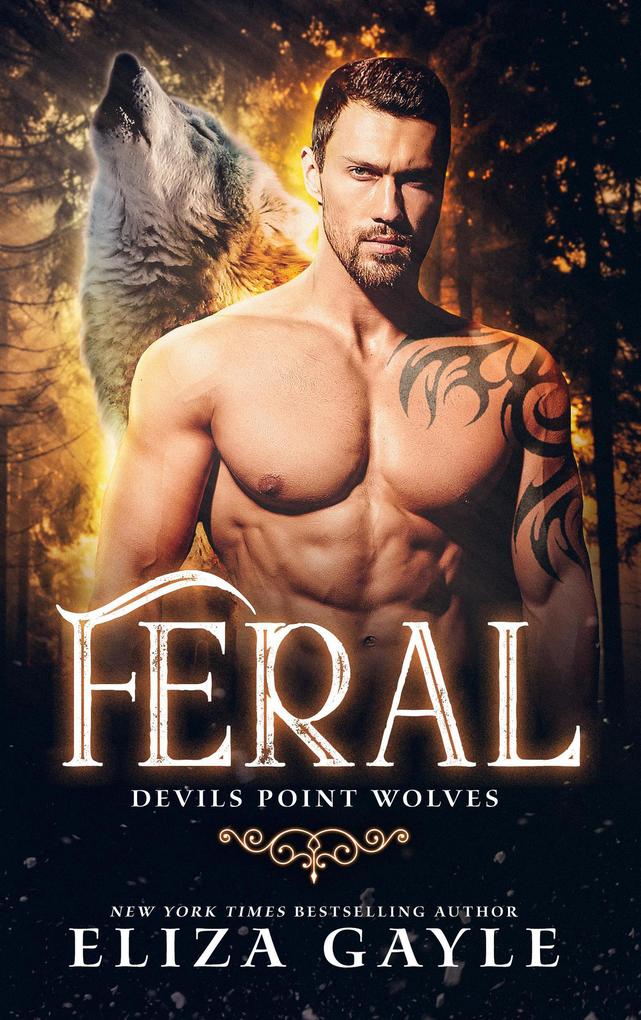 Feral (Devils Point Wolves #4)