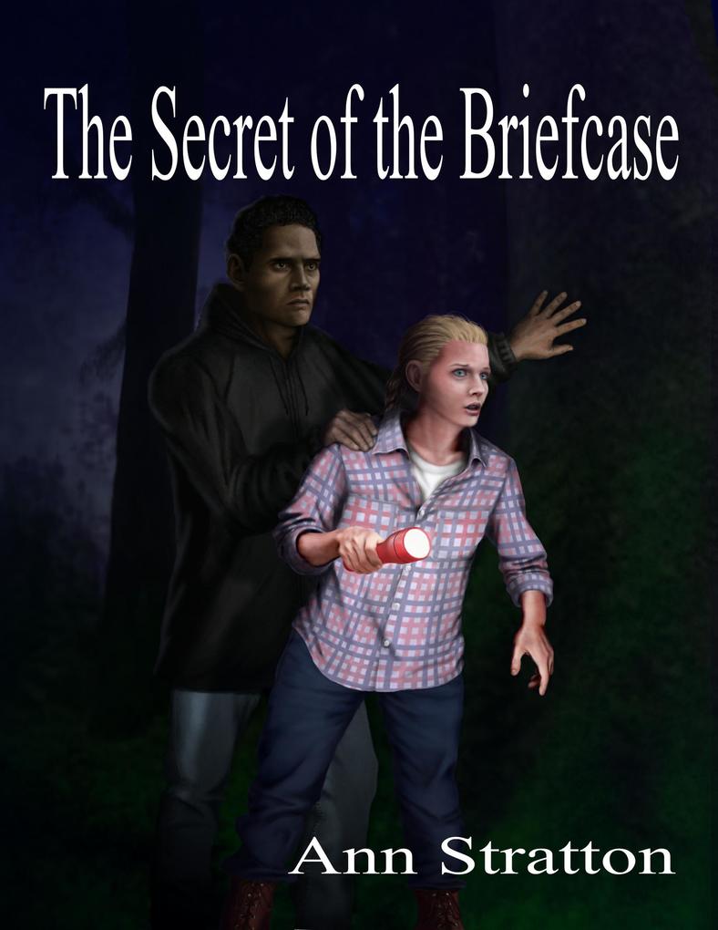 The Secret of the Briefcase