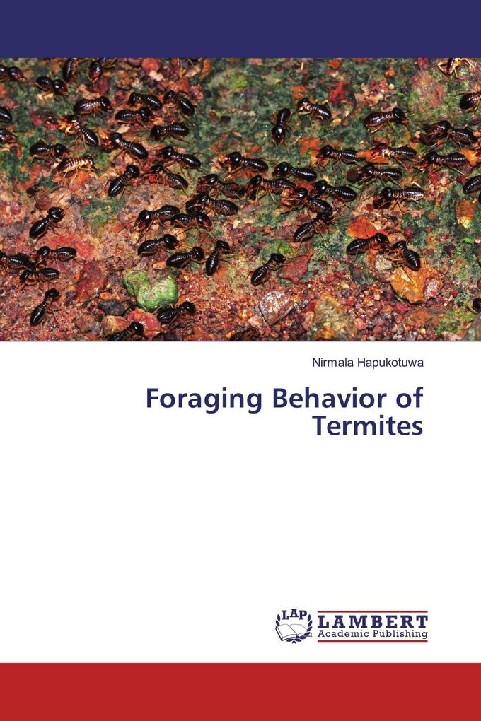 Foraging Behavior of Termites