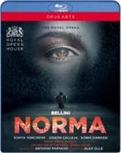 Norma