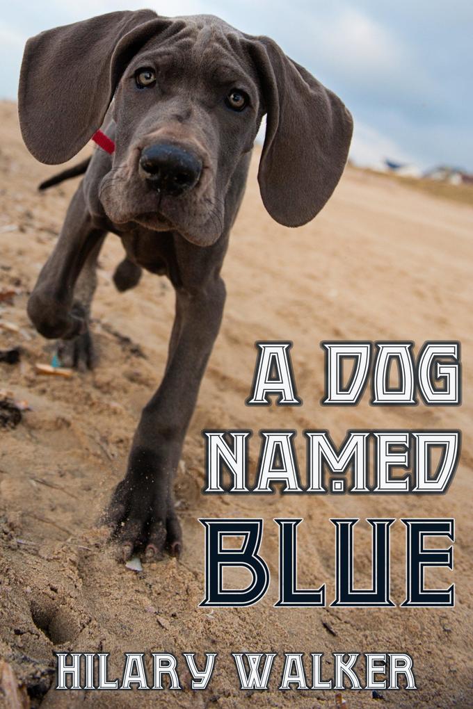 Dog Named Blue