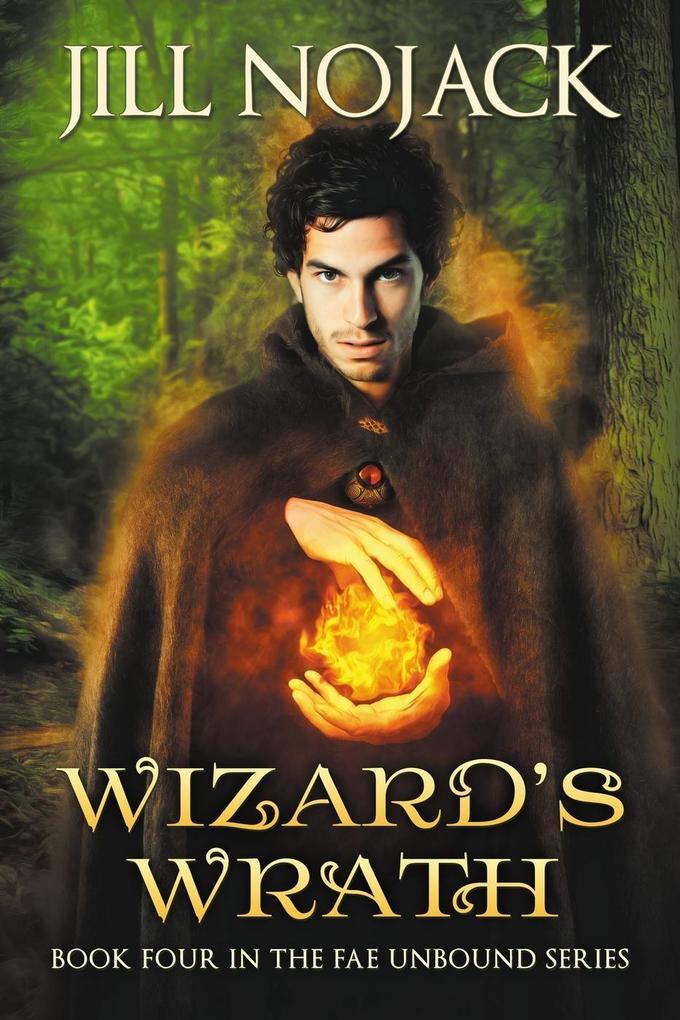 Wizard‘s Wrath (Fae Unbound Teen Young Adult Fantasy Series #4)