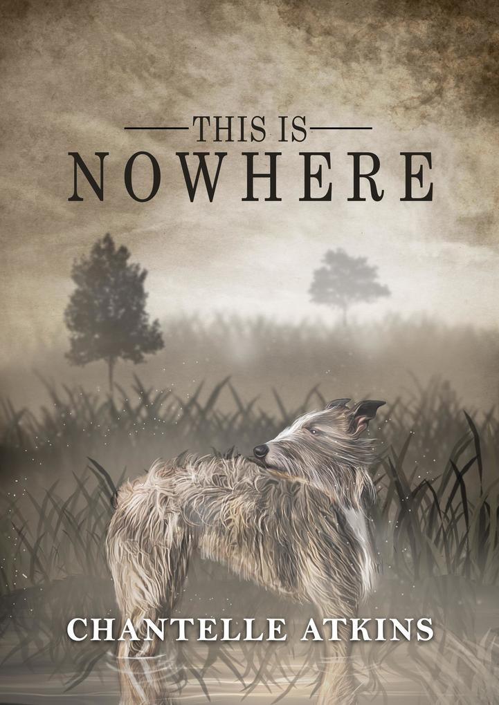 This Is Nowhere