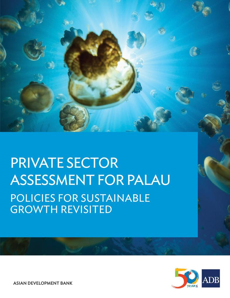 Private Sector Assessment for Palau