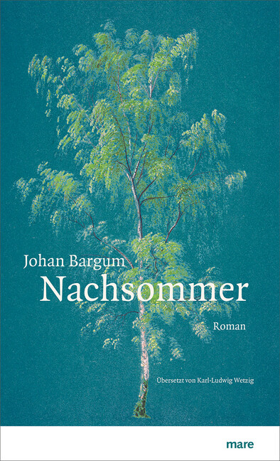 Nachsommer als Buch Nachsommer als Buch