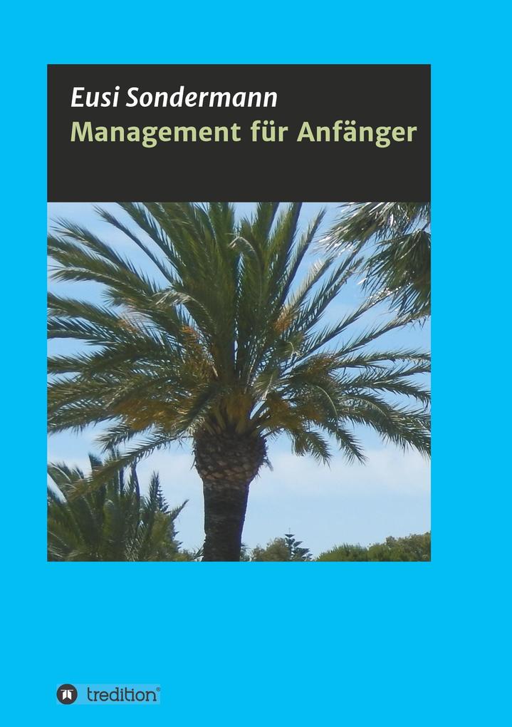 Image of Management für Anfänger