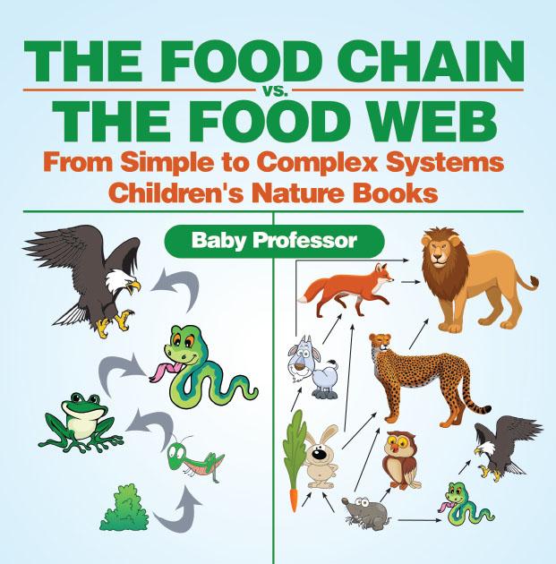 The Food Chain vs. The Food Web - From Simple to Complex Systems | Children‘s Nature Books