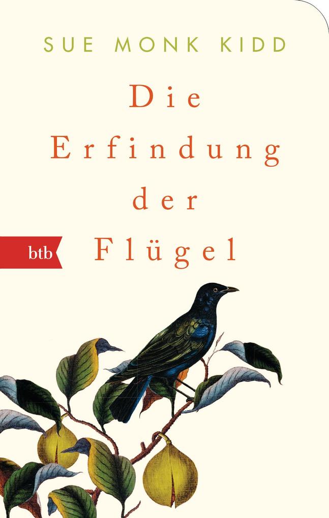 Die Erfindung der Flügel