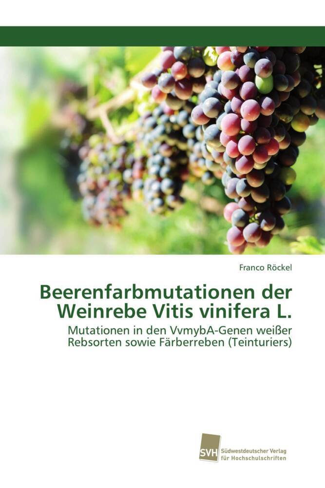 Beerenfarbmutationen der Weinrebe Vitis vinifera L.