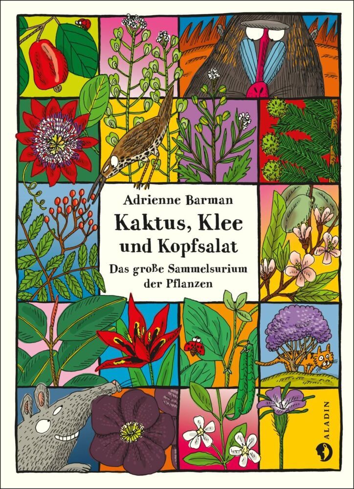 Kaktus Klee und Kopfsalat