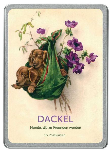 Dackel Postkarten VE 20