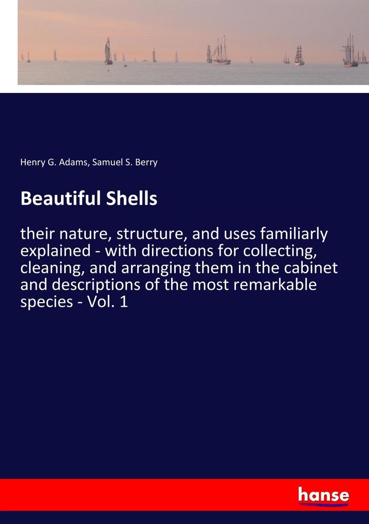 Image of Beautiful Shells