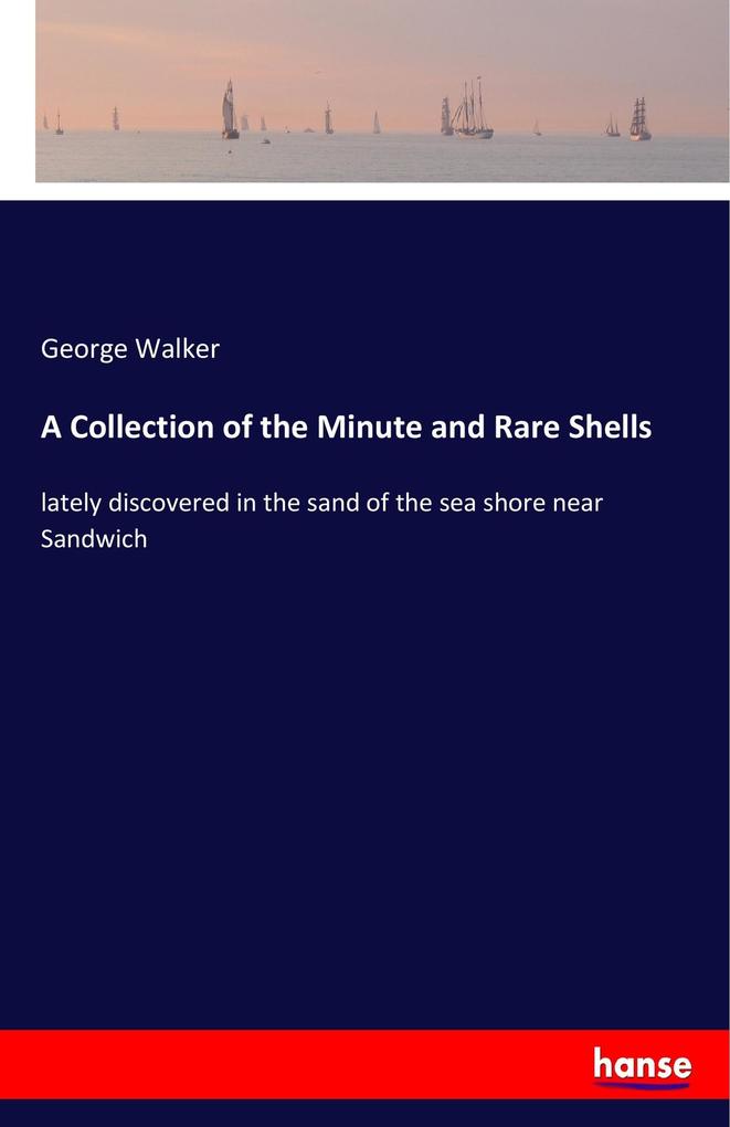A Collection of the Minute and Rare Shells