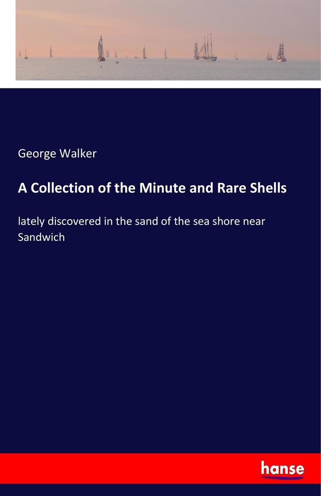 Image of A Collection of the Minute and Rare Shells