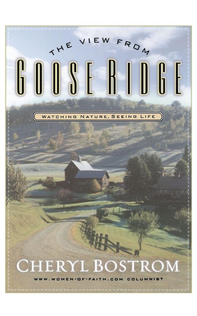 The View from Goose Ridge