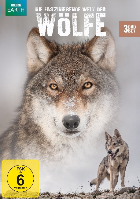 Die faszinierende Welt der Wölfe