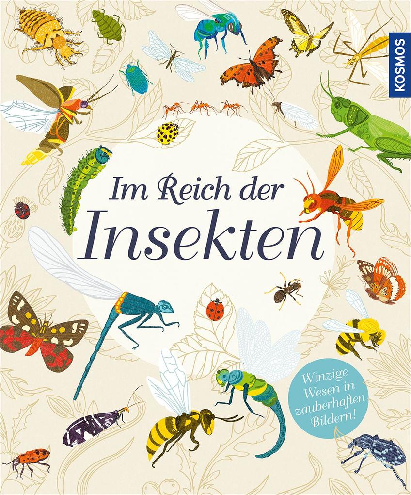 Image of Im Reich der Insekten