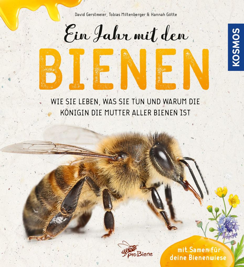 Image of Ein Jahr mit den Bienen