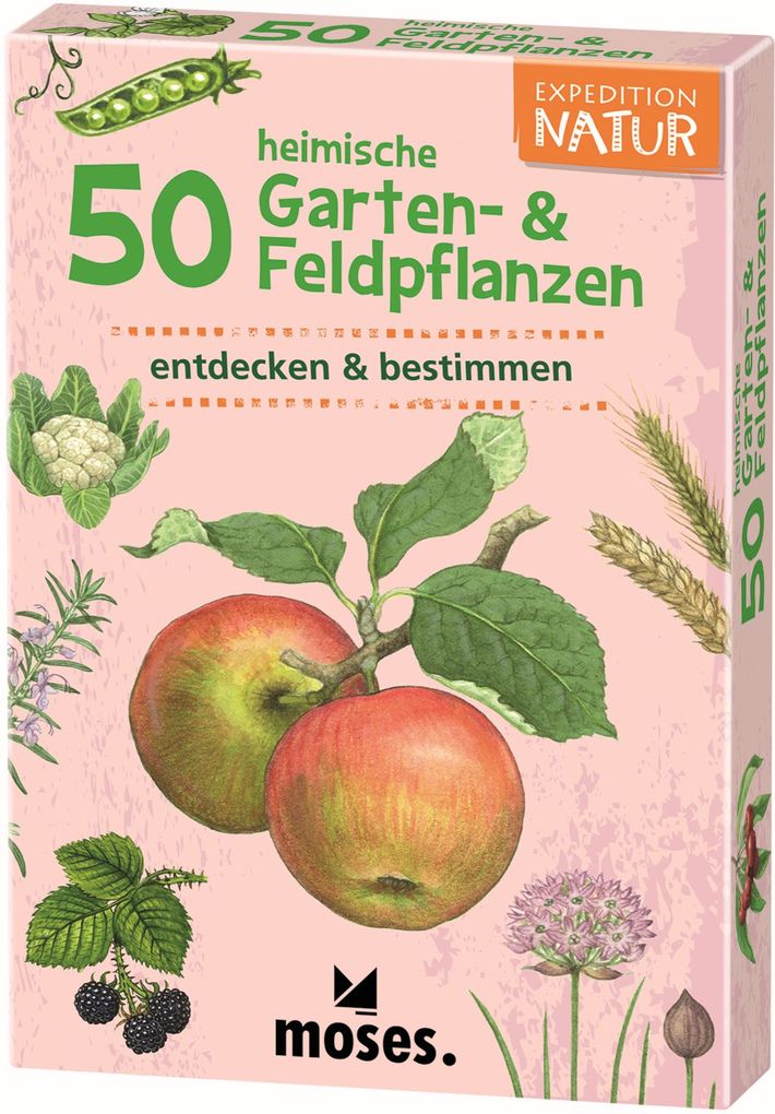 Image of Buch - Expedition Natur: 50 heimische Garten- & Feldpflanzen