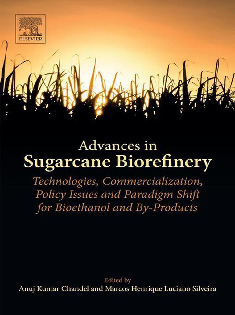 Advances in Sugarcane Biorefinery