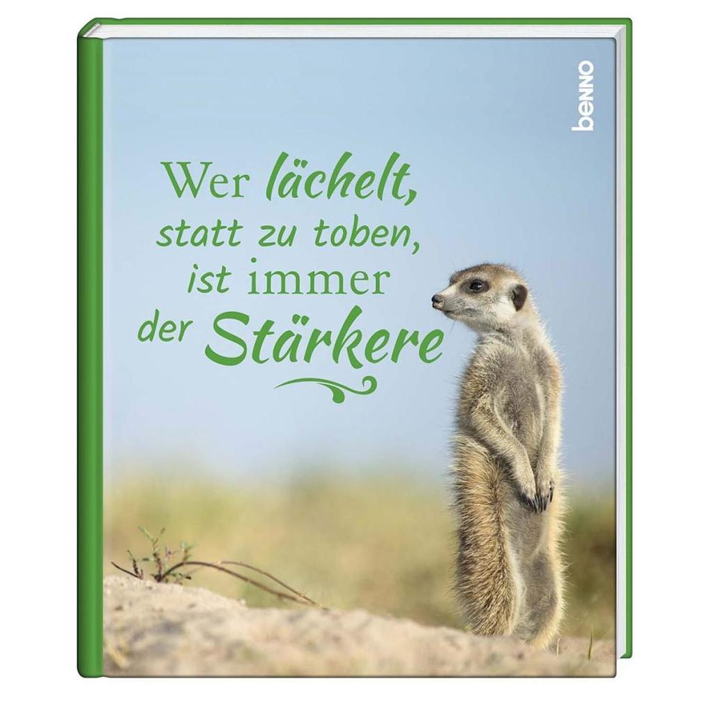 Wer lächelt, statt zu toben, ist immer der Stärkere als Buch Wer lächelt, statt zu toben, ist immer der Stärkere als Buch