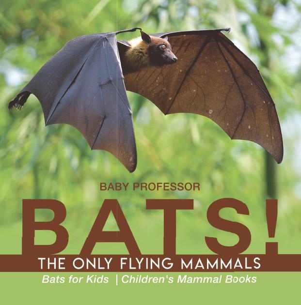 BATS! The Only Flying Mammals | Bats for Kids | Children‘s Mammal Books