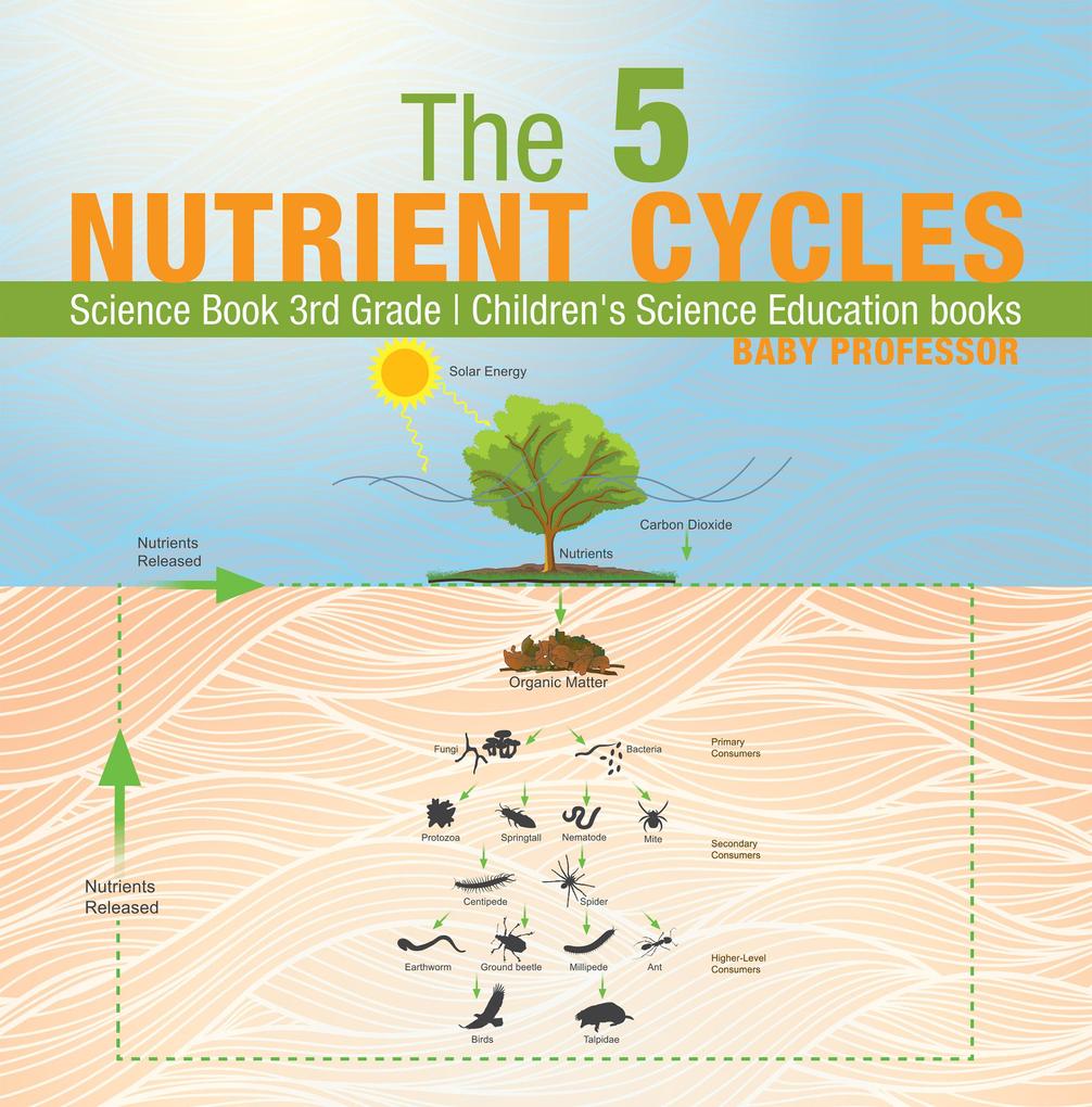 The 5 Nutrient Cycles - Science Book 3rd Grade | Children‘s Science Education books