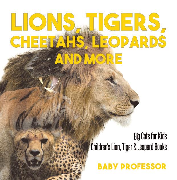 Lions Tigers Cheetahs Leopards and More | Big Cats for Kids | Children‘s Lion Tiger & Leopard Books