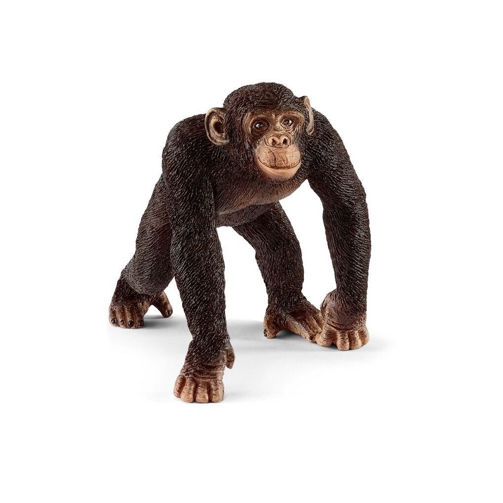 Image of Schleich - Wild Life - Schimpanse Männchen