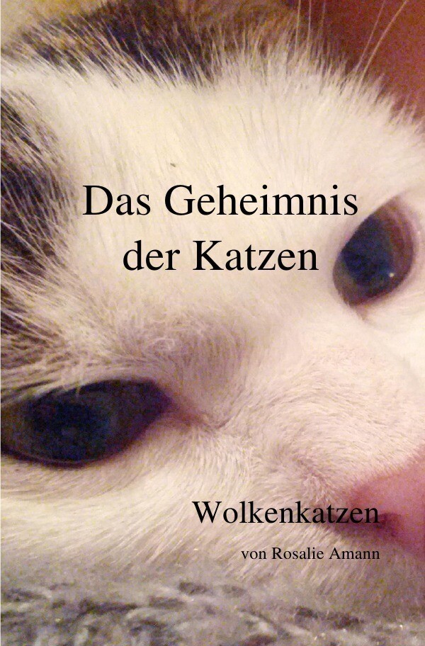 Image of Das Geheimnis der Katzen / Das Geheimnis der Katzen - Wolkenkatzen