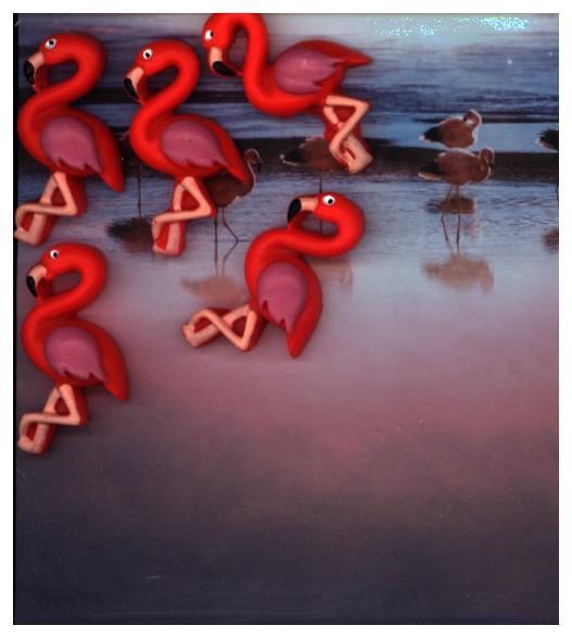 Magnete FLAMINGO 5er Set pink