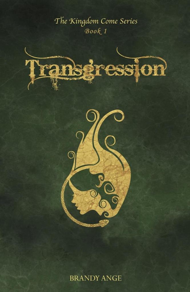 Transgression (The Kingdom Come Series #1)
