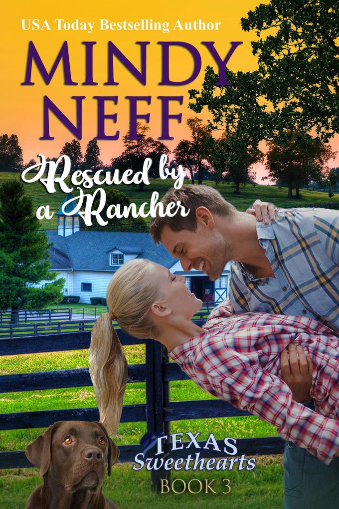 Rescued by a Rancher (Texas Sweethearts #3)