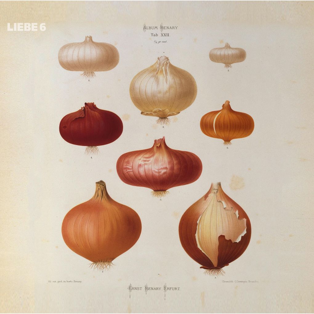 Hagen Rether Liebe 6