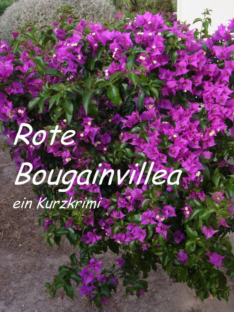 Rote Bougainvillea
