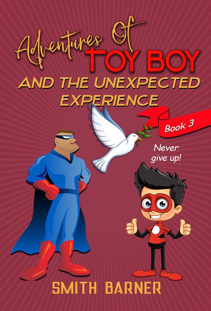 Adventures of Toy Boy and the Unexpected Experience
