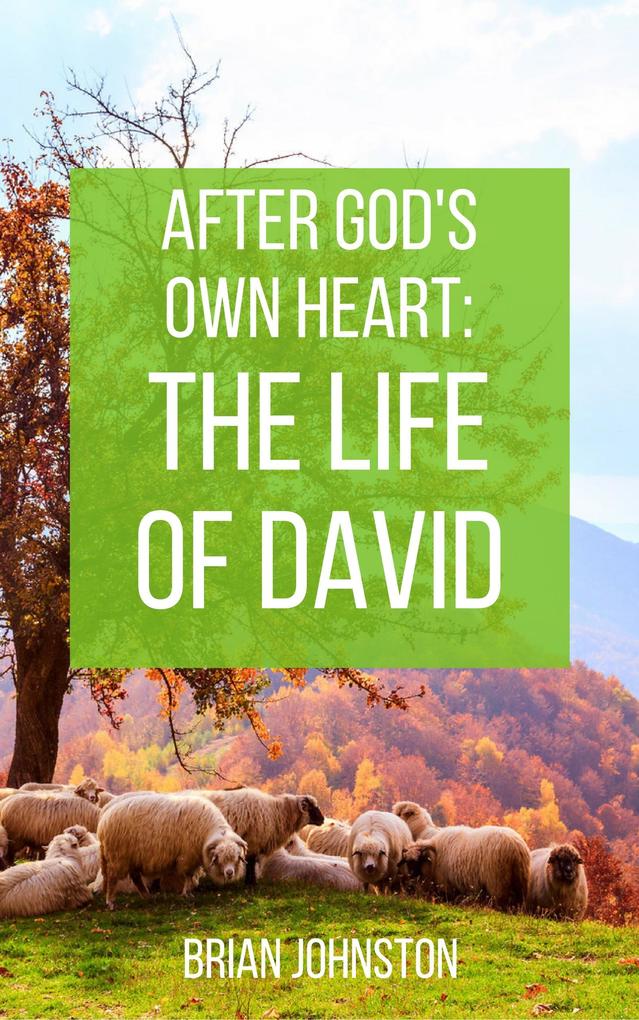 After God‘s Own Heart : The Life of David