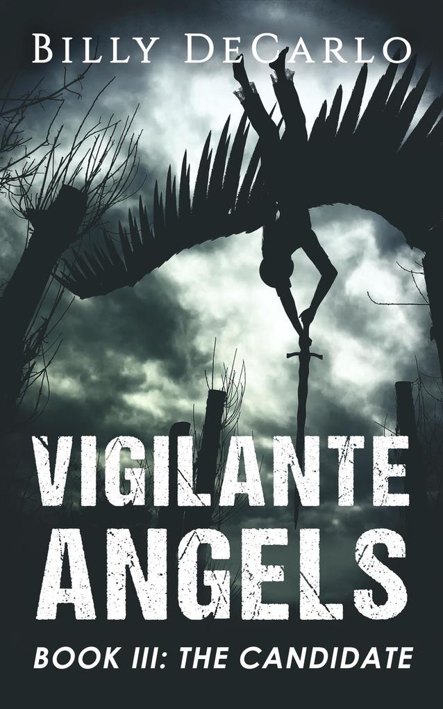 Vigilante Angels Book III: The Candidate
