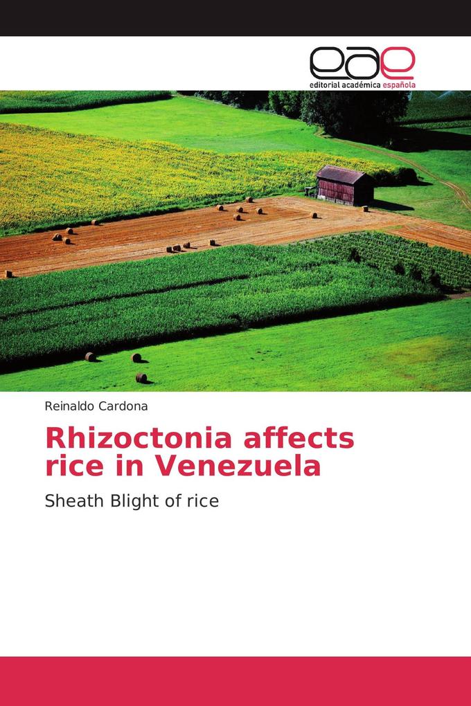 Rhizoctonia affects rice in Venezuela