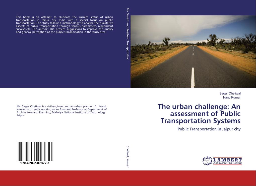 The urban challenge: An assessment of Public Transportation Systems