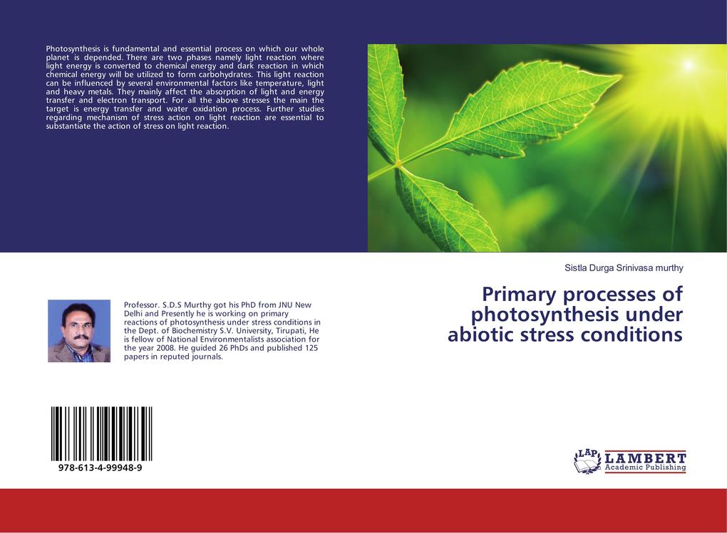 Primary processes of photosynthesis under abiotic stress conditions