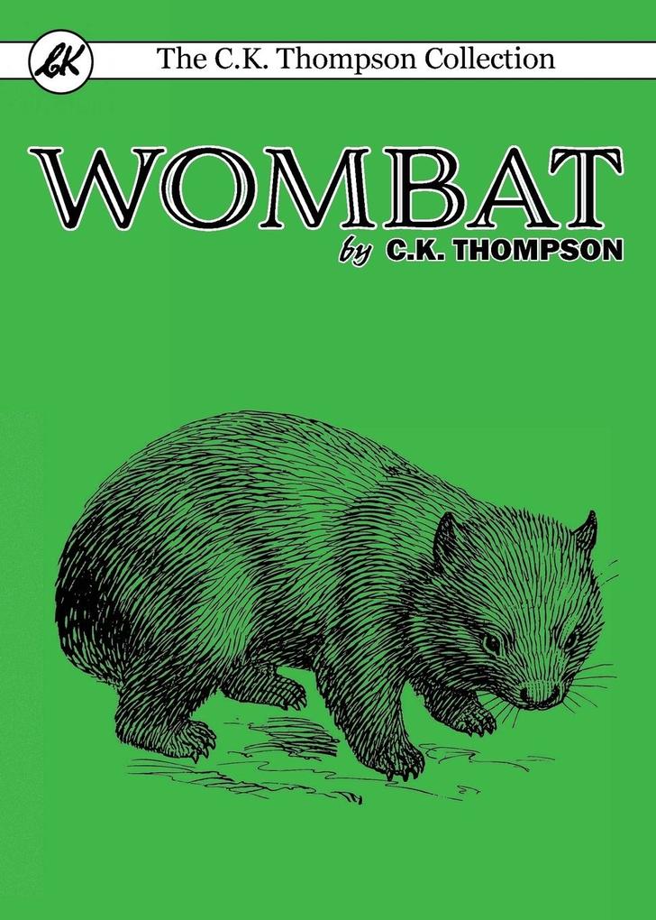 Image of Wombat